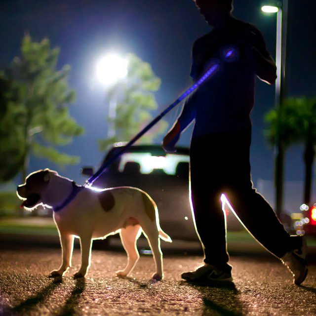 Blue Nylon Double Sided LED 48" Light up Leash - Provides Great Safety!