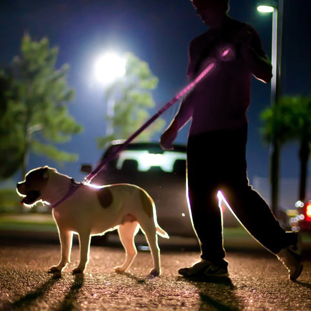 Pink Nylon Double Sided LED 48" Light up Leash - Provides Great Safety!