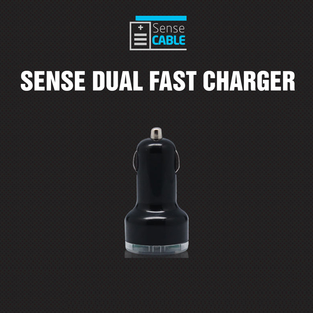 Dual USB Port Car Charger Adapter (3100 mAh)