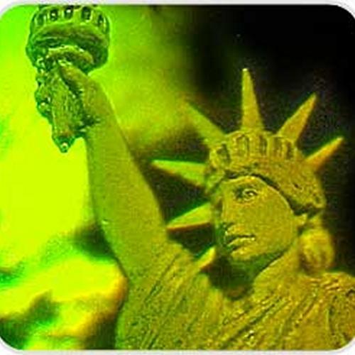 Lady Liberty Holograms Screen Sticker